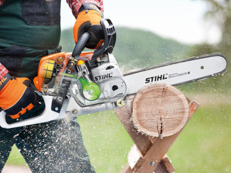 Электрические цепные пилы Stihl - список моделей и цены