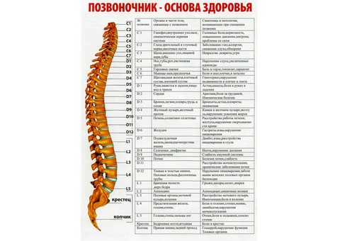 Как лучше лечить межпозвонковые грыжи, протрузии, остеохондроз, болезни?