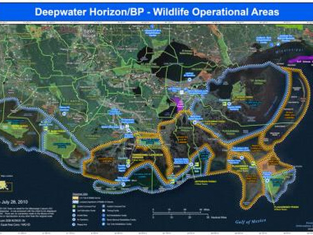 ArcGIS: раскройте возможности пространственного анализа данных