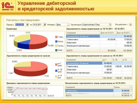 Прочая кредиторская задолженность: простое управление широким спектром обязательств бизнеса