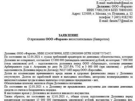 Заявление о личном банкротстве: электронная подача заявления о личном банкротстве