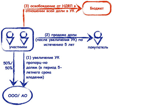 Упростите свои налоговые обязательства, продав доли в ООО