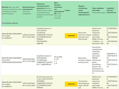 Услуги по принудительному взысканию налогов: проверьте свои долги у налогового инспектора