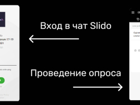 Изучайте русский язык с помощью Sli do: онлайн-уроки языка