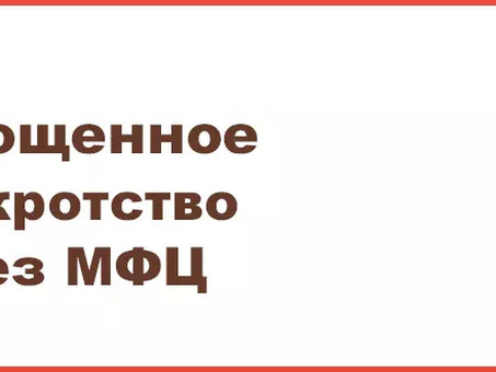 Услуги упрощенного банкротства физических лиц через МФЦ: условия и подробности