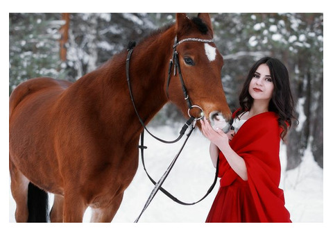 Фотосессии с лошадьми пони и козочкой.