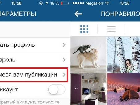 Лайки фотографий в Instagram. для повышения вовлеченности!