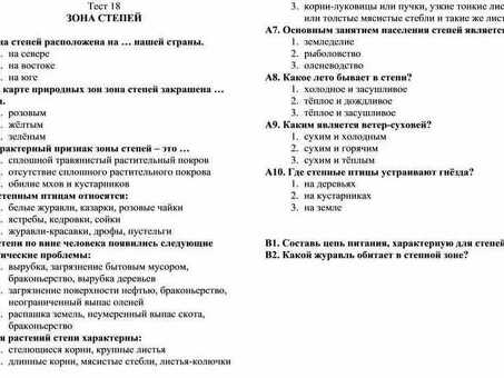 Синхрозона 1С: услуги синхронизации для повышения эффективности бизнеса