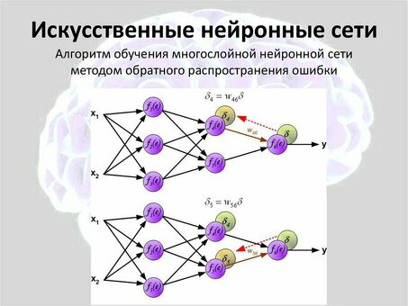 Сколько стоит создание нейронной сети? | Доступные решения в области искусственного интеллекта