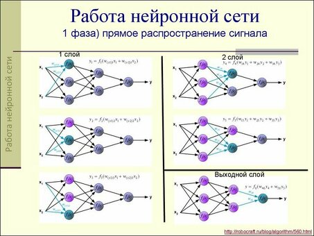 Сколько стоит построить нейронную сеть? Узнайте здесь!