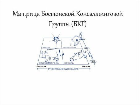 Презентация матрицы BCG: BCG: анализ и представление результатов деятельности