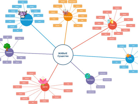 Как создать карту ума по теме