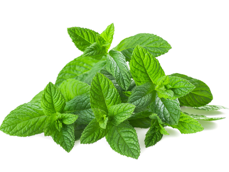 Fresh Mint с ОКПД 2 - высокое качество обслуживания