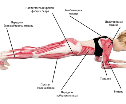 Планка упорная – купить выгодно, цены, отзывы, характеристики | Название магазина