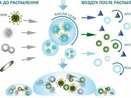 Озонирование зерна: надежная защита от плесени и вредителей