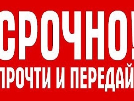 Экстренный переводчик: быстрые и профессиональные услуги перевода