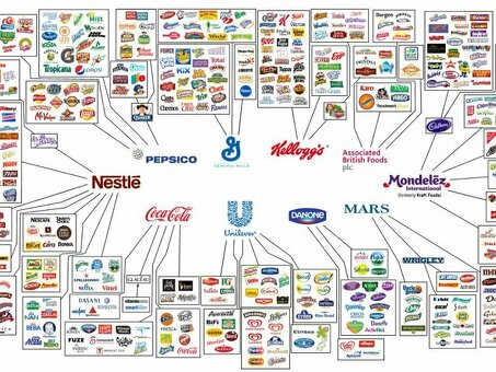 Производители продуктов питания: лучшие бренды и производители