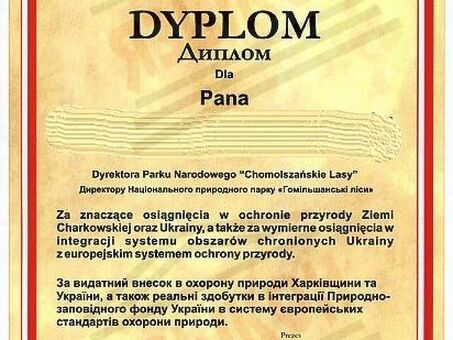 Профессиональные услуги перевода | Высококачественные переводы | Лучшие услуги перевода