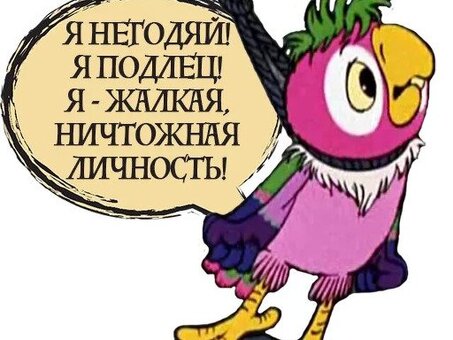 Прикольные стикеры для Telegram: эксклюзивная коллекция Parrot Casha