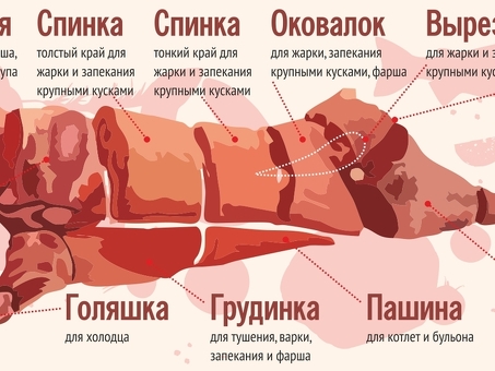 Купить полголовы говядины - Интернет магазин "Говядина"