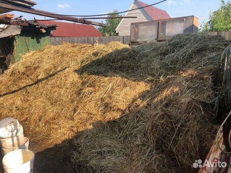 Бесплатное удобрение для вашего сада