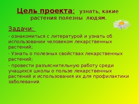 Лекарственные растения Приморского края: каталог, описание, покупка | Магазин 