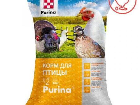 Рынок стартера для свиней | Рынок сельскохозяйственной продукции