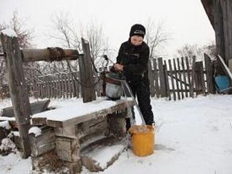 Покупка КРС в Омской области: выгодные предложения от Х