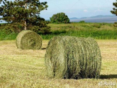 Сено в рулонах для кошек в Самарской области