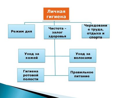 Заводская продукция для общественного питания: качество и надежность