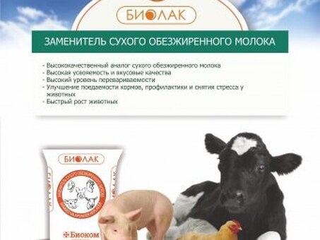 Заменитель молока для козлят - питательный продукт высокого качества | Наш магазин