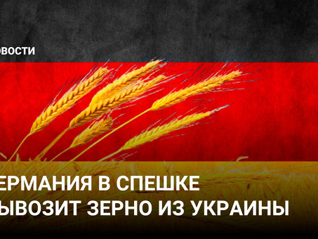 Купить зерно онлайн во Вконтакте по выгодным ценам | Магазин зерна онлайн