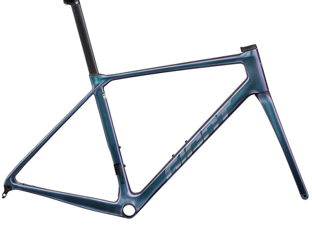 2025 Giant TCR Advanced Pro Frameset (ALANBIKESHOP)