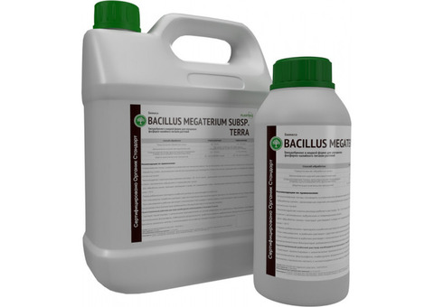 Bacillus megaterium Organic - жидкая форма