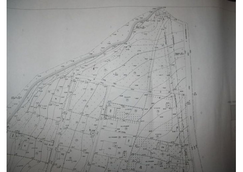 Геодезические услуги по изготовлению и обновлению топоплана